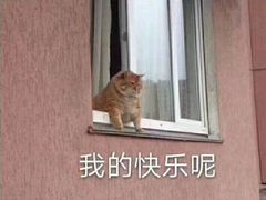 -喜喜水饺