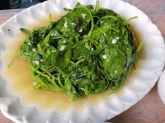 灰灰菜-王万妈卤猪脚(青岩交通路)