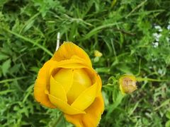 -白草畔自然风景区