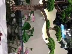 -清真沙记靖远牛犊肉羊羔肉(南昌路东湖店)