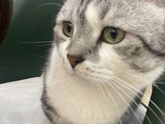 -安格丽娜·狗咖·猫咖羊驼咖(春熙路百盛商场店)