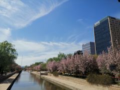 -元大都城垣遗址公园