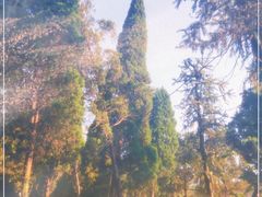 -瑶湖郊野森林公园