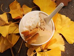 -Dip in Gelato(富民路店)