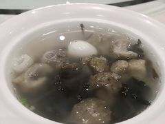 冲汤活海参-伊尹活海参馆(衡山路店)