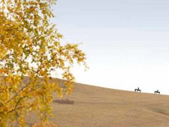 -塞罕坝国家级自然保护区