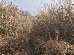 -成都老君山