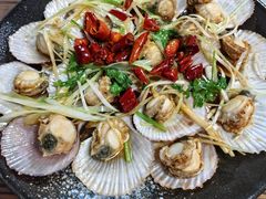 -鲁前海沿儿