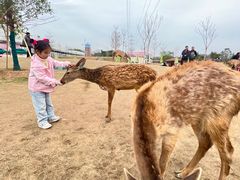 -盈香心动乐园