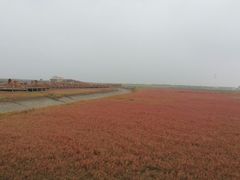 -红海滩国家风景廊道