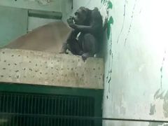 -辛玛王国游乐园