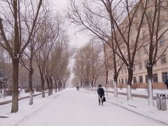 -哈尔滨师范大学(松北校区)
