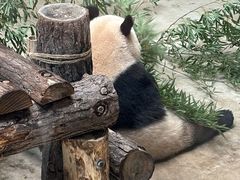 -杭州动物园