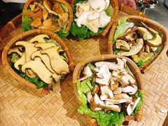 -滇野云南野生菌餐厅(陕西南路店)