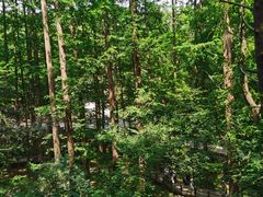 -北京西山国家森林公园