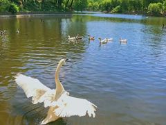 -石家庄市动物园