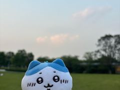 -常德津市牛肉粉(兴南大道店)