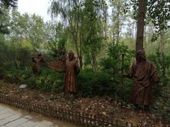 -合肥滨湖国家森林公园