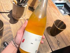 -毛辣果·酸(OHA复兴西路店)