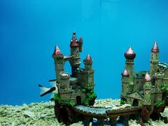 -北戴河圣蓝海洋公园