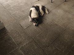 -顽啤熊·酒客酒馆(苏城夜景必选店)