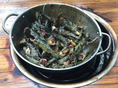 -金海椒罐罐鲢鱼(东方桂苑店)