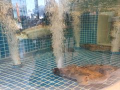 -至尊鲨鱼·原烹海鲜·新浙菜(拱宸桥店)