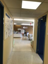 -杭州贝瑞斯美华妇儿医院·早孕·产检·儿科