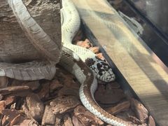 -昆山招商花园城
