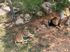 -西霞口神雕山野生动物世界