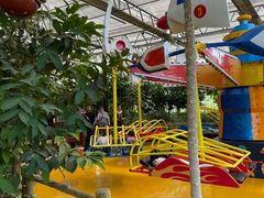 -南宫五洲植物乐园