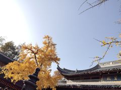 -龙华素斋(龙华路店)