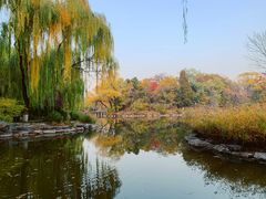-北京大学赛克勒考古与艺术博物馆