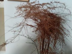 -佰推·肩颈腰·推拿理疗(湾悦城店)