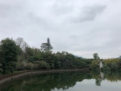 -大屏嶂森林公园