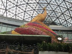 -花之城