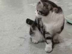 -一品格美术·中考高中成人美术培训