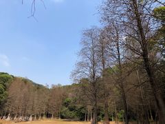 -广州市白云山风景名胜区