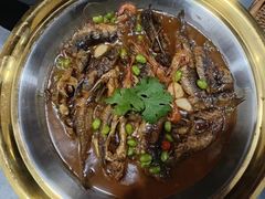 -天目馨缘