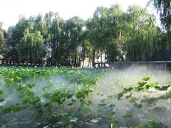 -四川大学(望江校区)