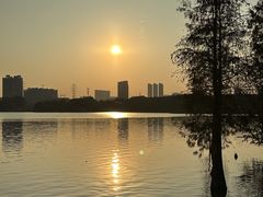 -海珠湖公园