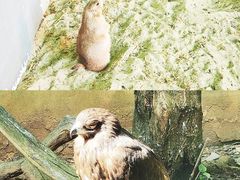 -杭州野生动物世界