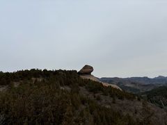 -磬锤峰森林公园