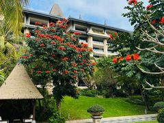 -海南清水湾莱佛士酒店