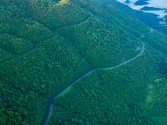 -武陵山森林公园