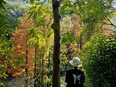 -云溪植物园