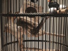 -清真·京华源铜锅涮肉(丰庆店)