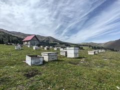 -新疆那拉提国家旅游度假区