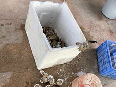 -千岛蚝高压锅生蚝·人参火锅(白云万达店)