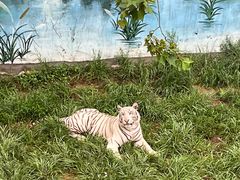 -西霞口神雕山野生动物世界